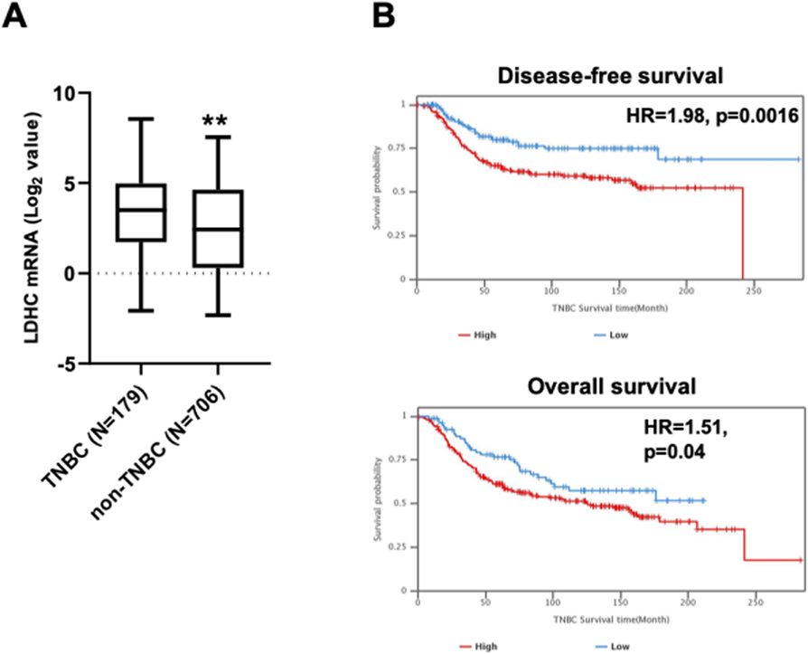 Fig. 1 (abstract P845).