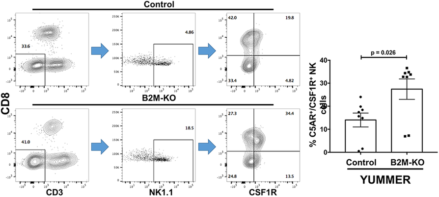Fig. 2 (abstract 06).