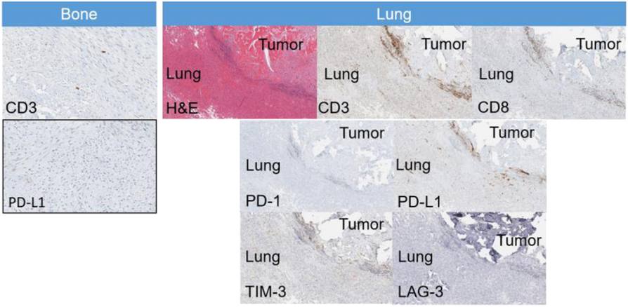 Fig. 1 (abstract P559).