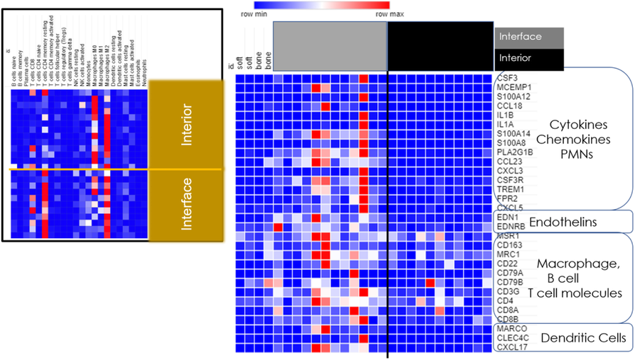 Fig. 2 (abstract P559).