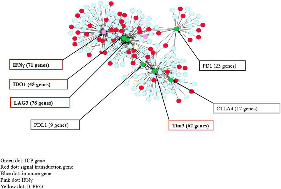 Fig. 1  (abstract P571).