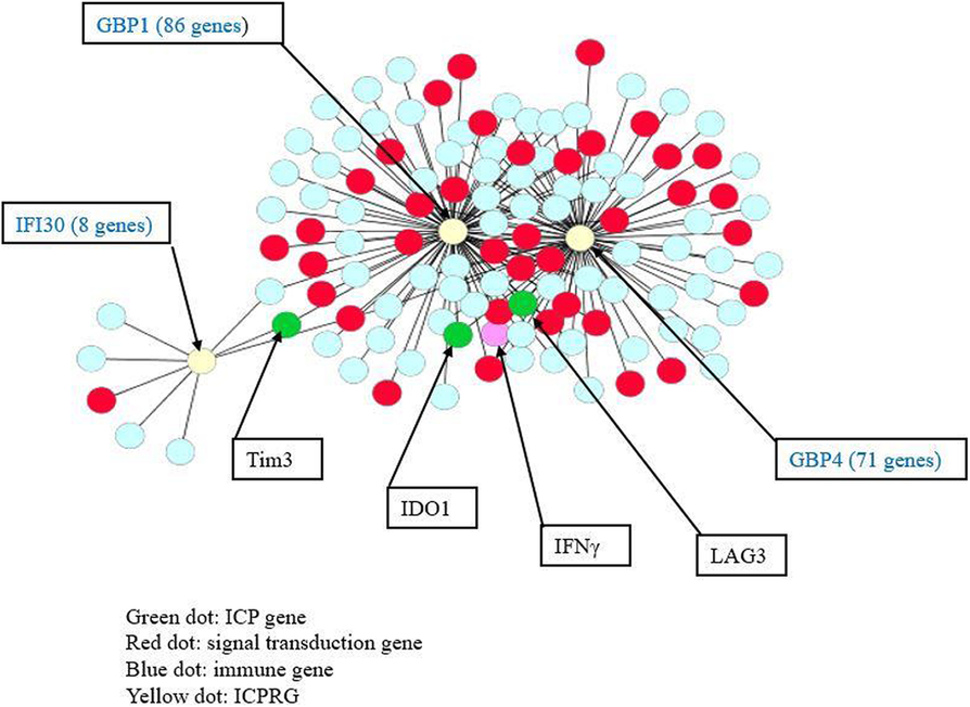 Fig. 2 (abstract P571).