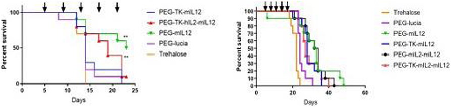 Fig. 1 (abstract P621).