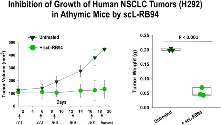 Fig. 2  (abstract P631).