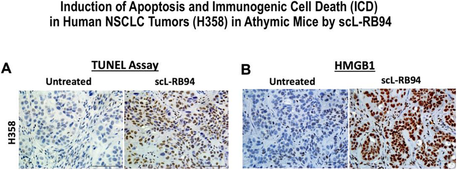 Fig. 3 (abstract P631).