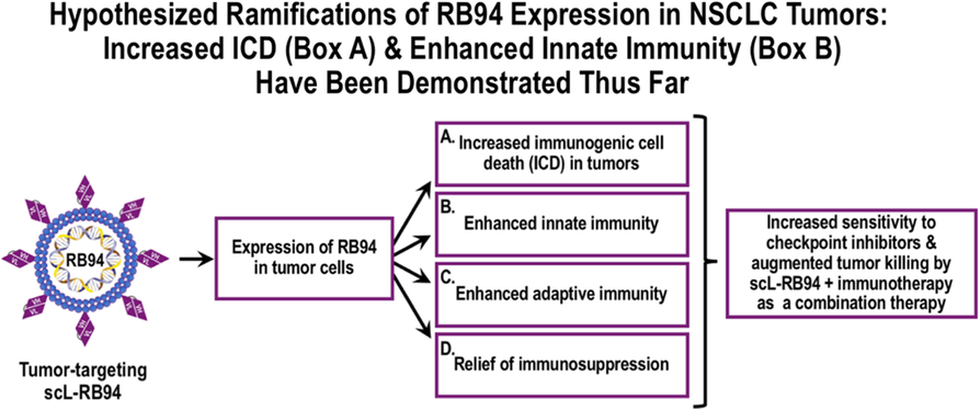 Fig. 8 (abstract P631).