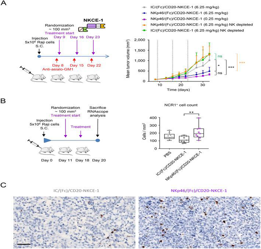 Fig. 4 (abstract P776).