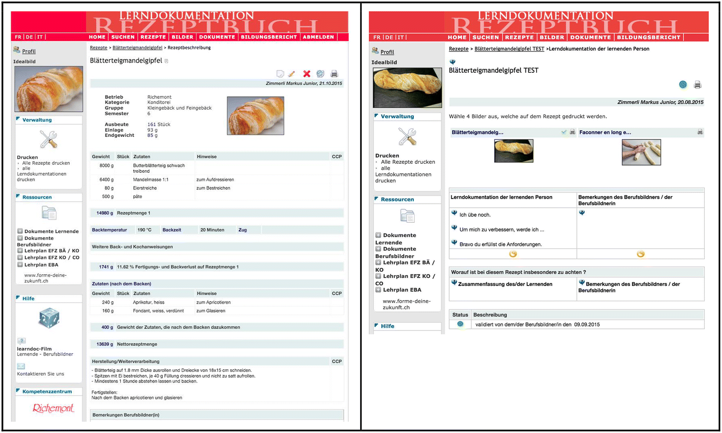 Fig. 1