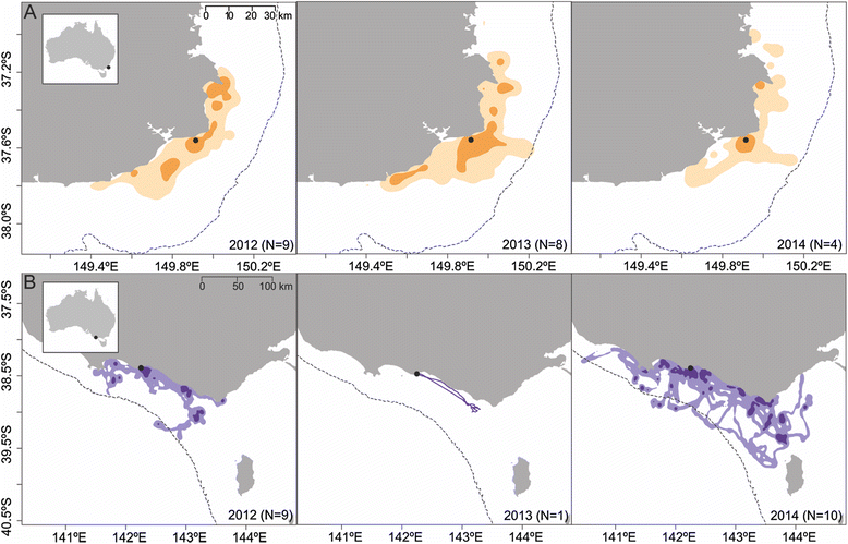 Fig. 2