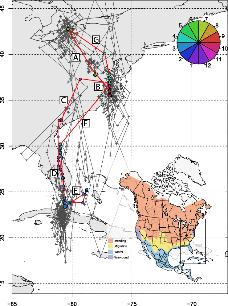 Fig. 3