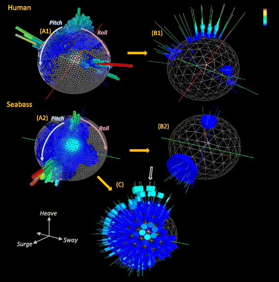 Fig. 2