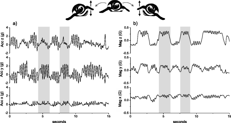 Fig. 3