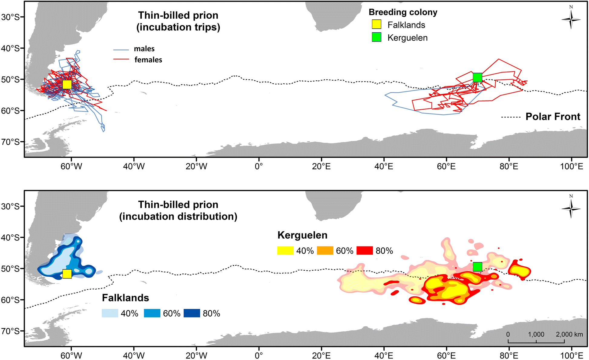 Fig. 5