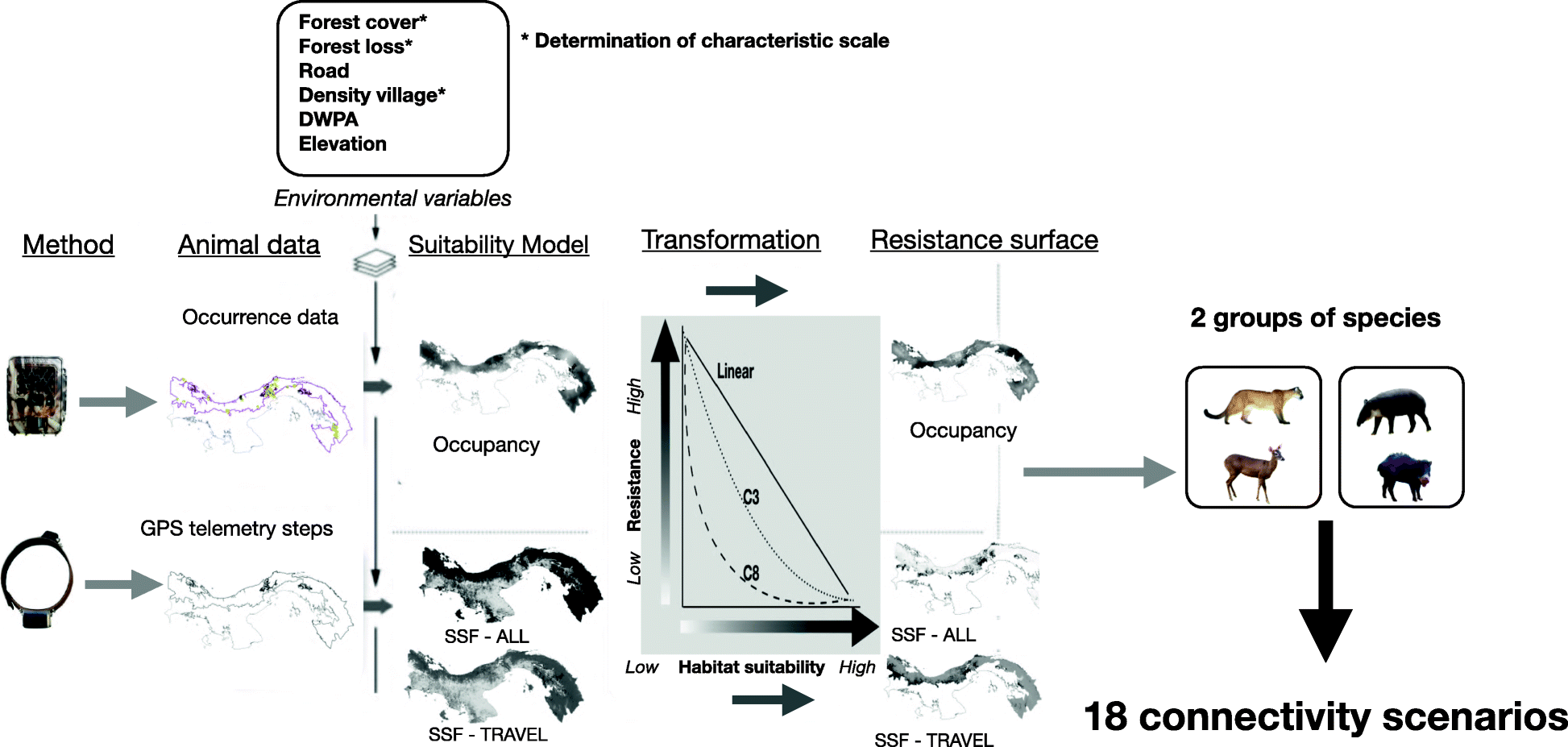 Fig. 2