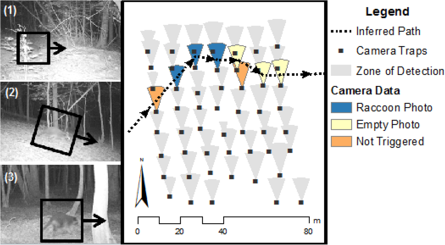 Fig. 2