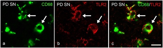 Figure 14