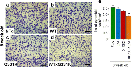 Fig. 6