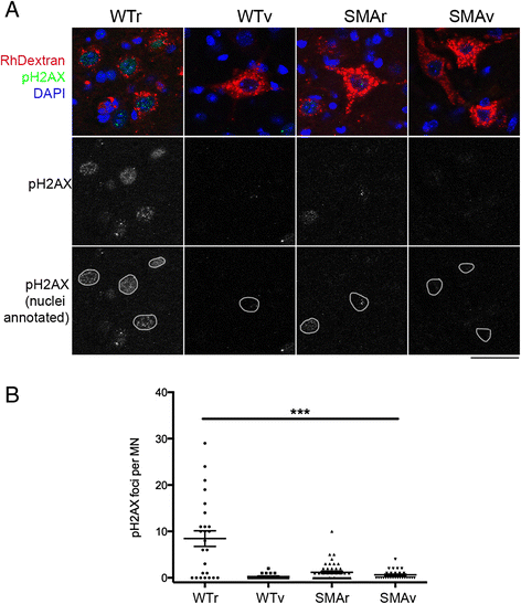 Fig. 10