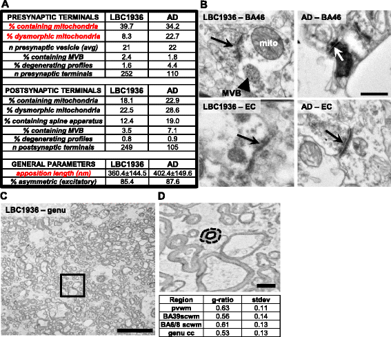 Fig. 13