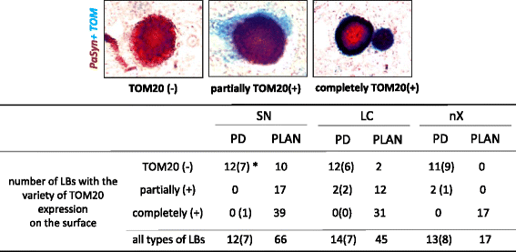 Fig. 7