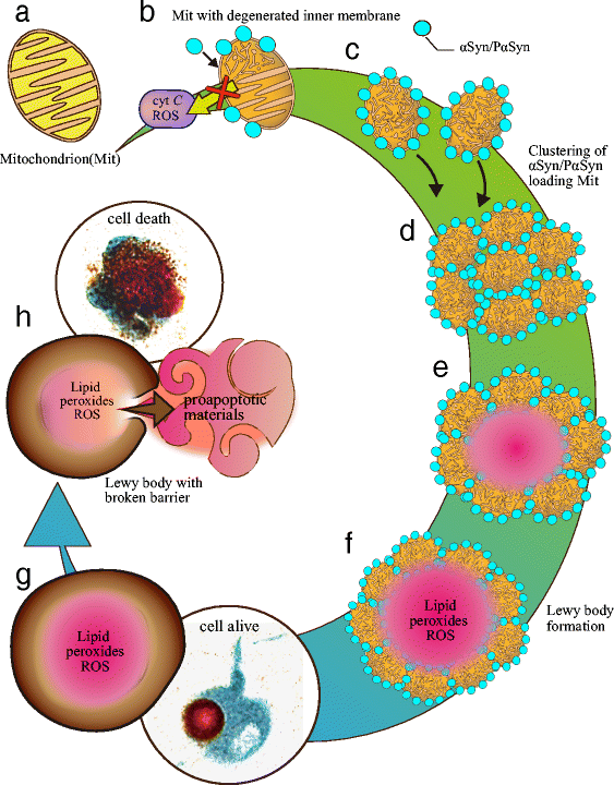 Fig. 8