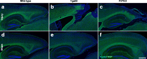 Fig. 13