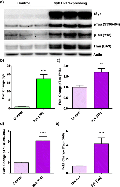 Fig. 14