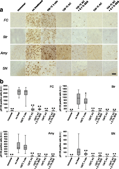 Fig. 10