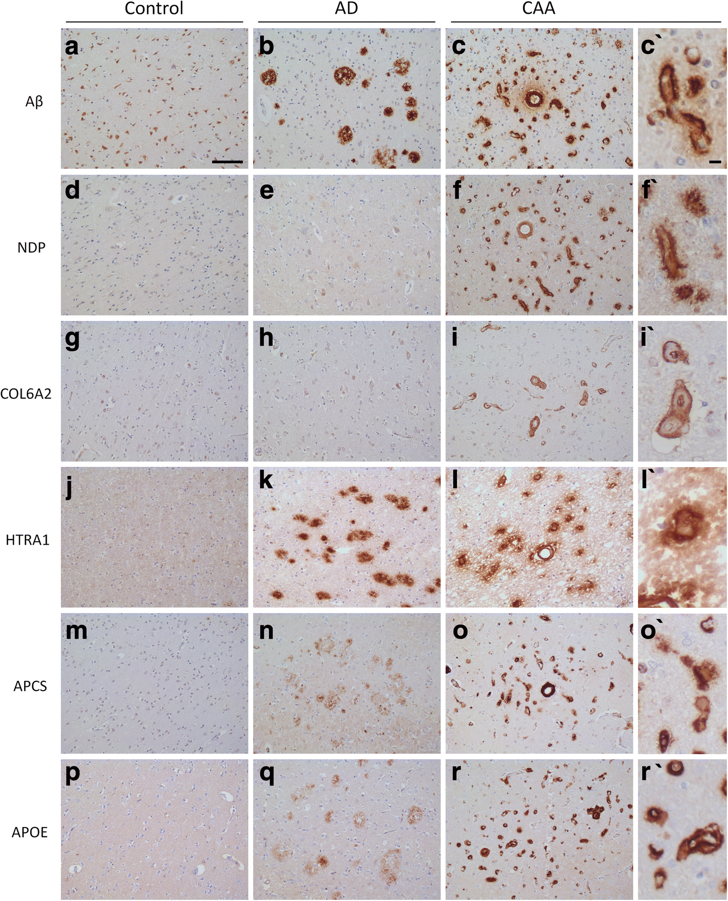 Fig. 5