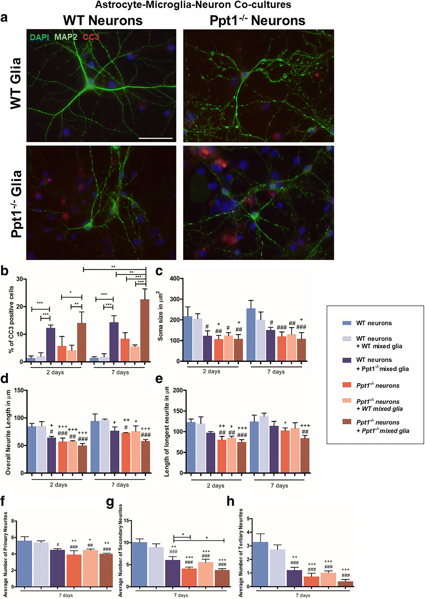 Fig. 11