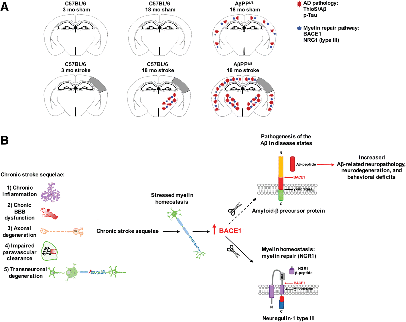 Fig. 9