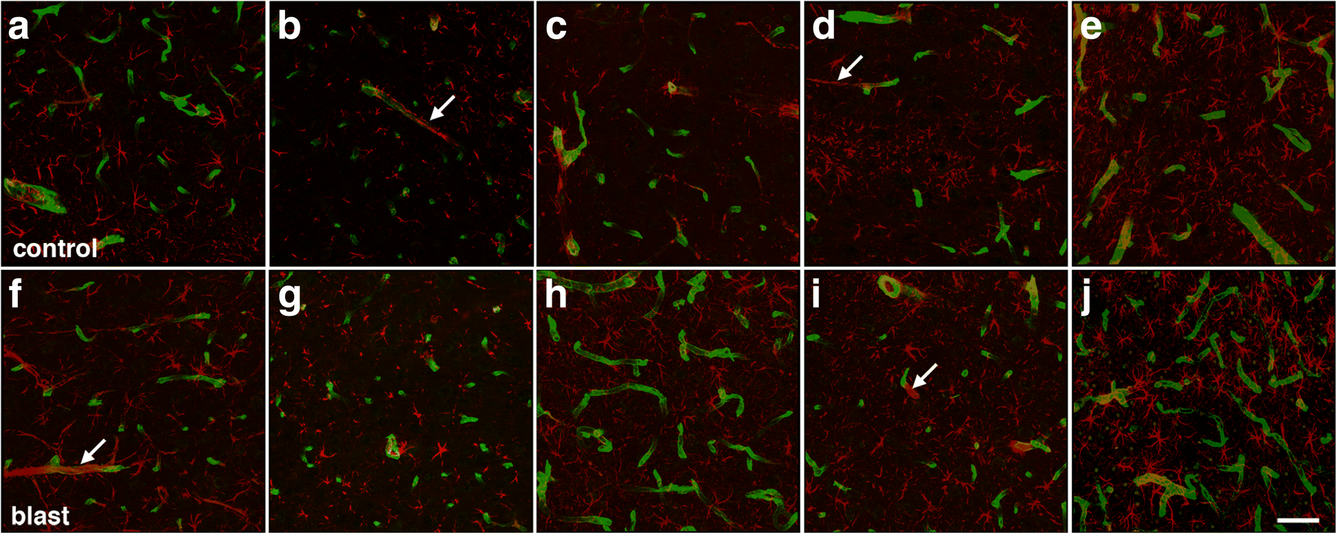 Fig. 8