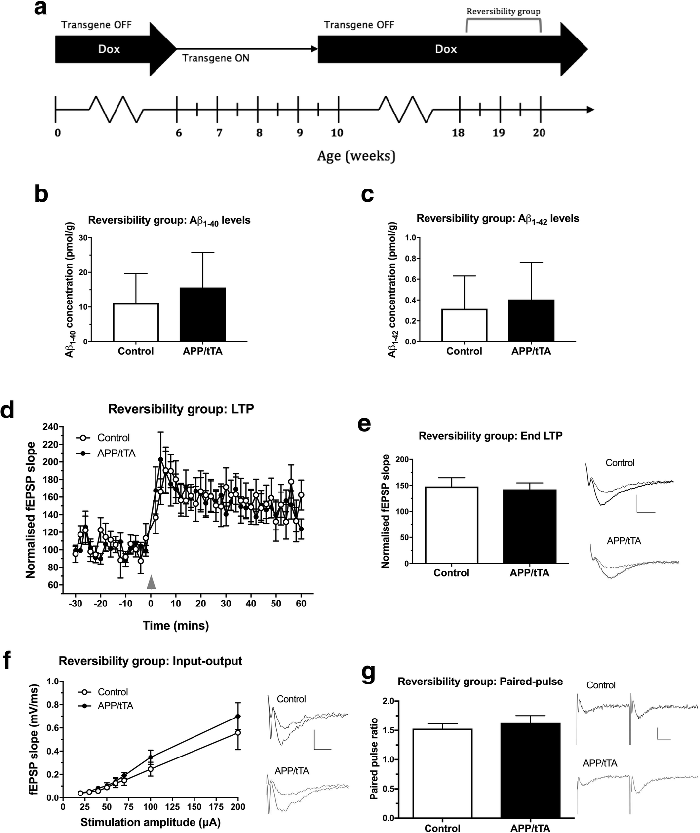 Fig. 10