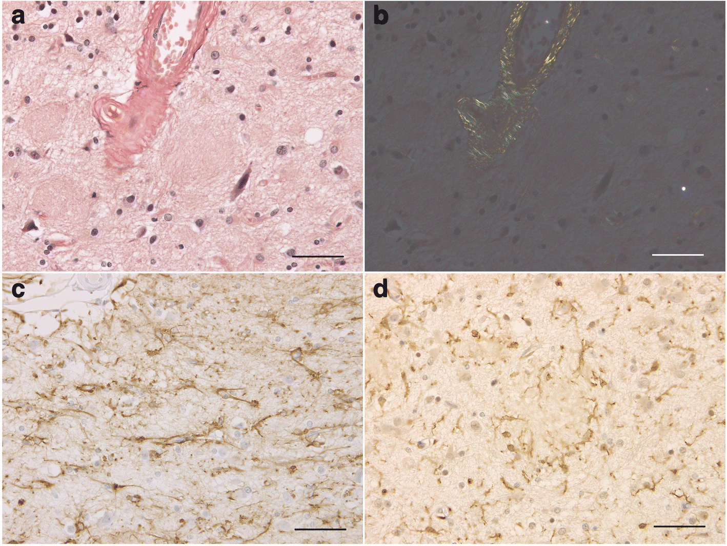 Fig. 7