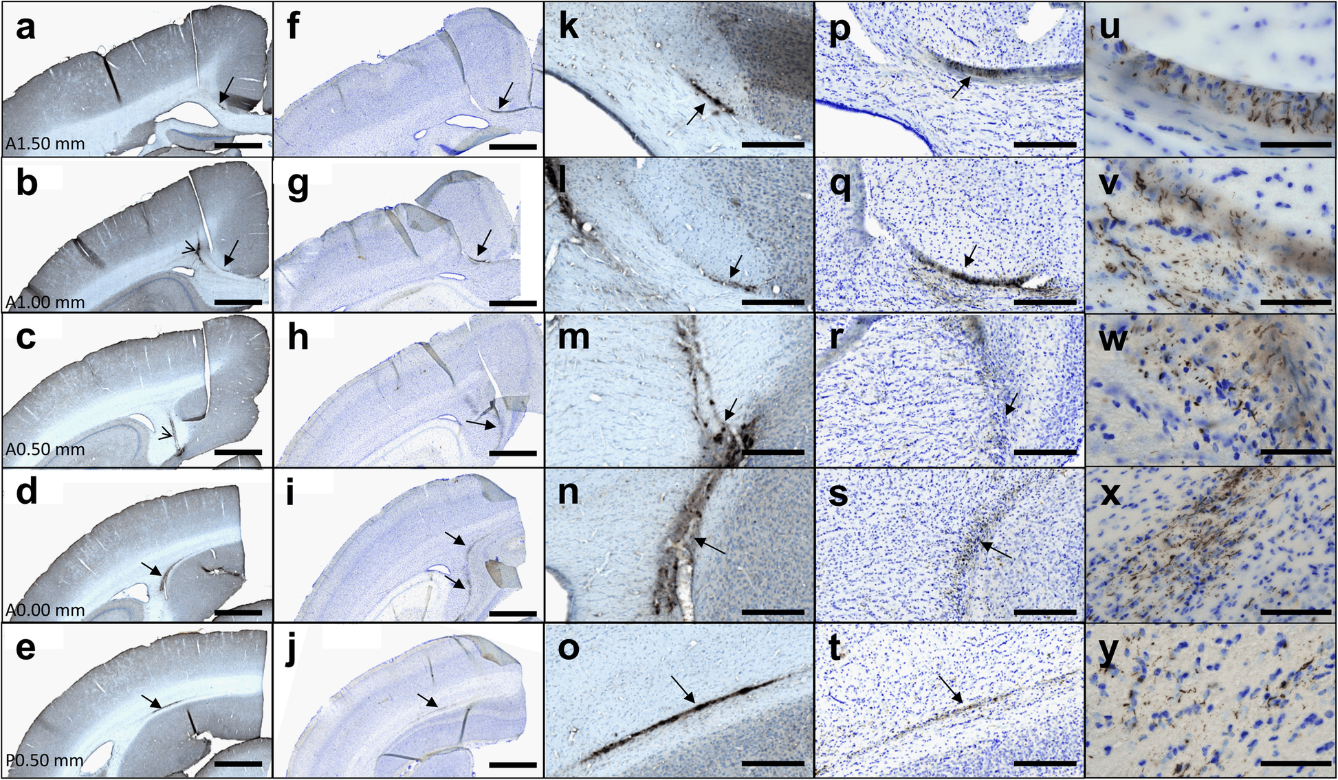 Fig. 6