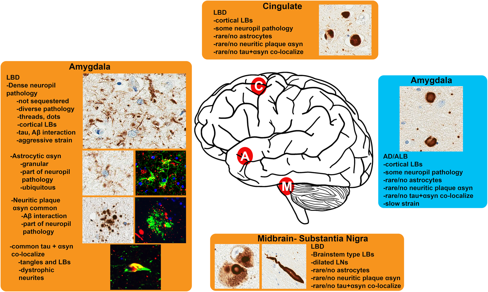 Fig. 11