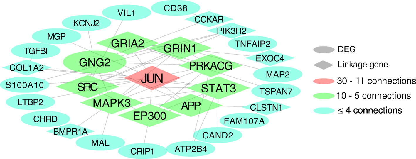 Fig. 8