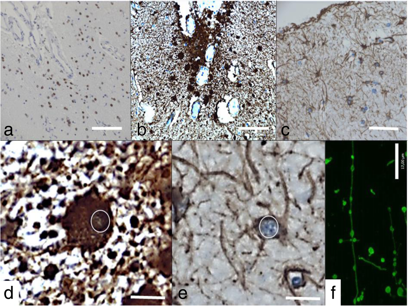 Fig. 10