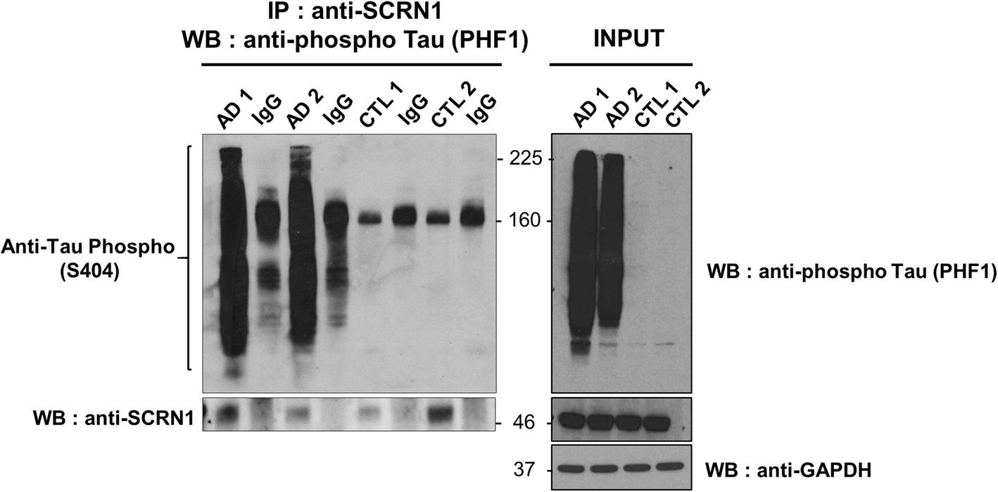 Fig. 9