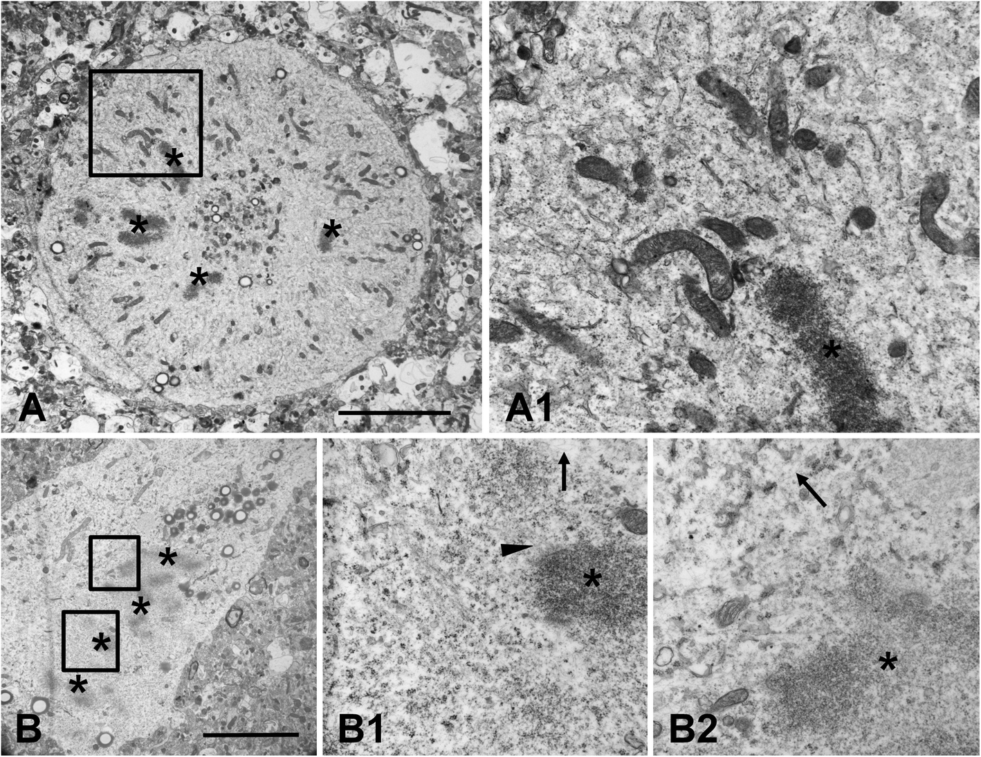 Fig. 10