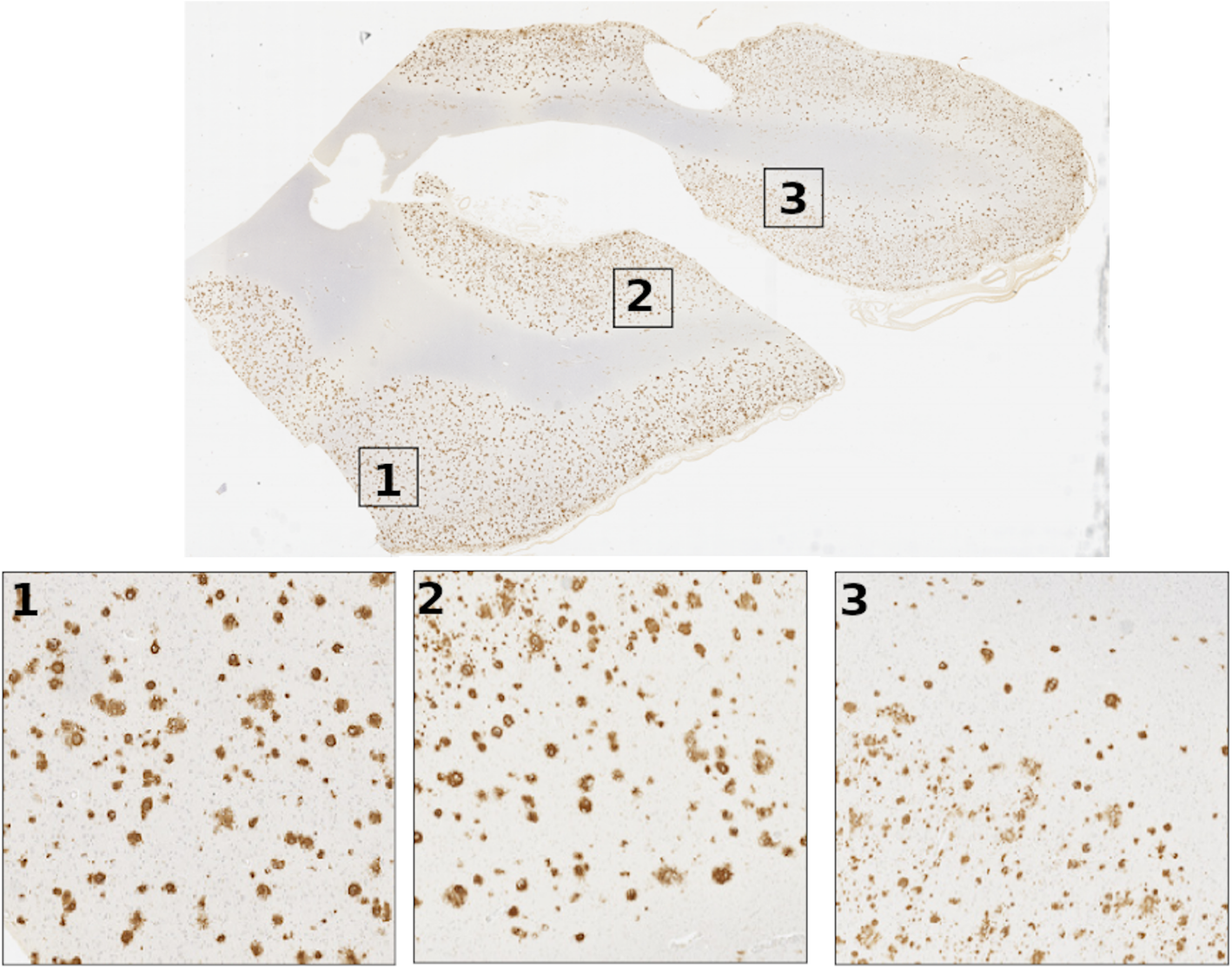 Fig. 7