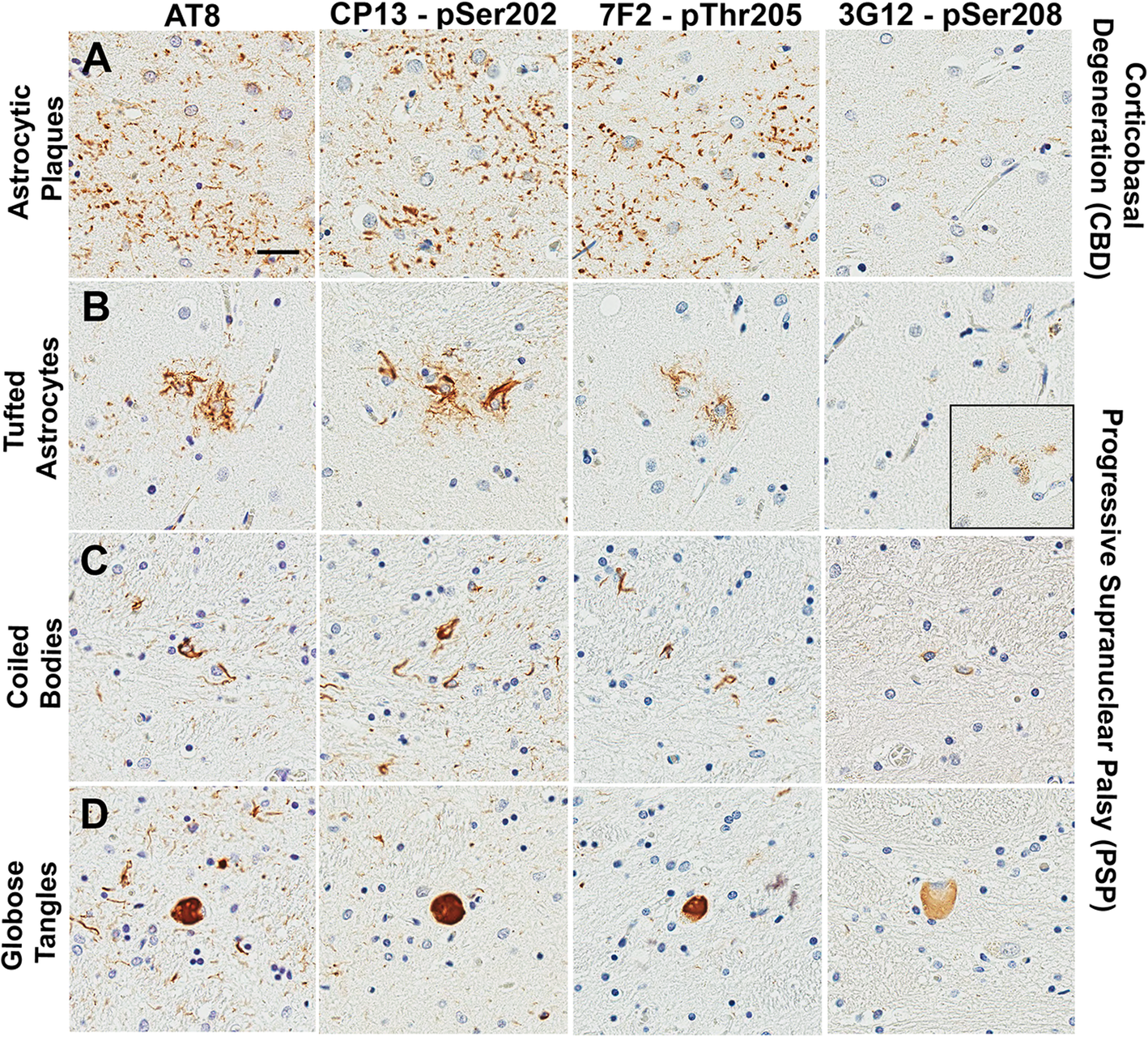 Fig. 7