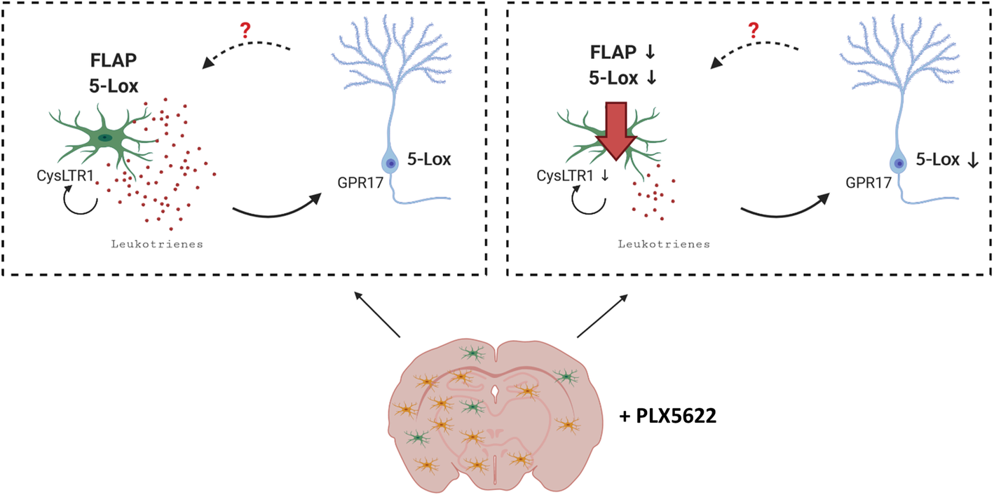 Fig. 11