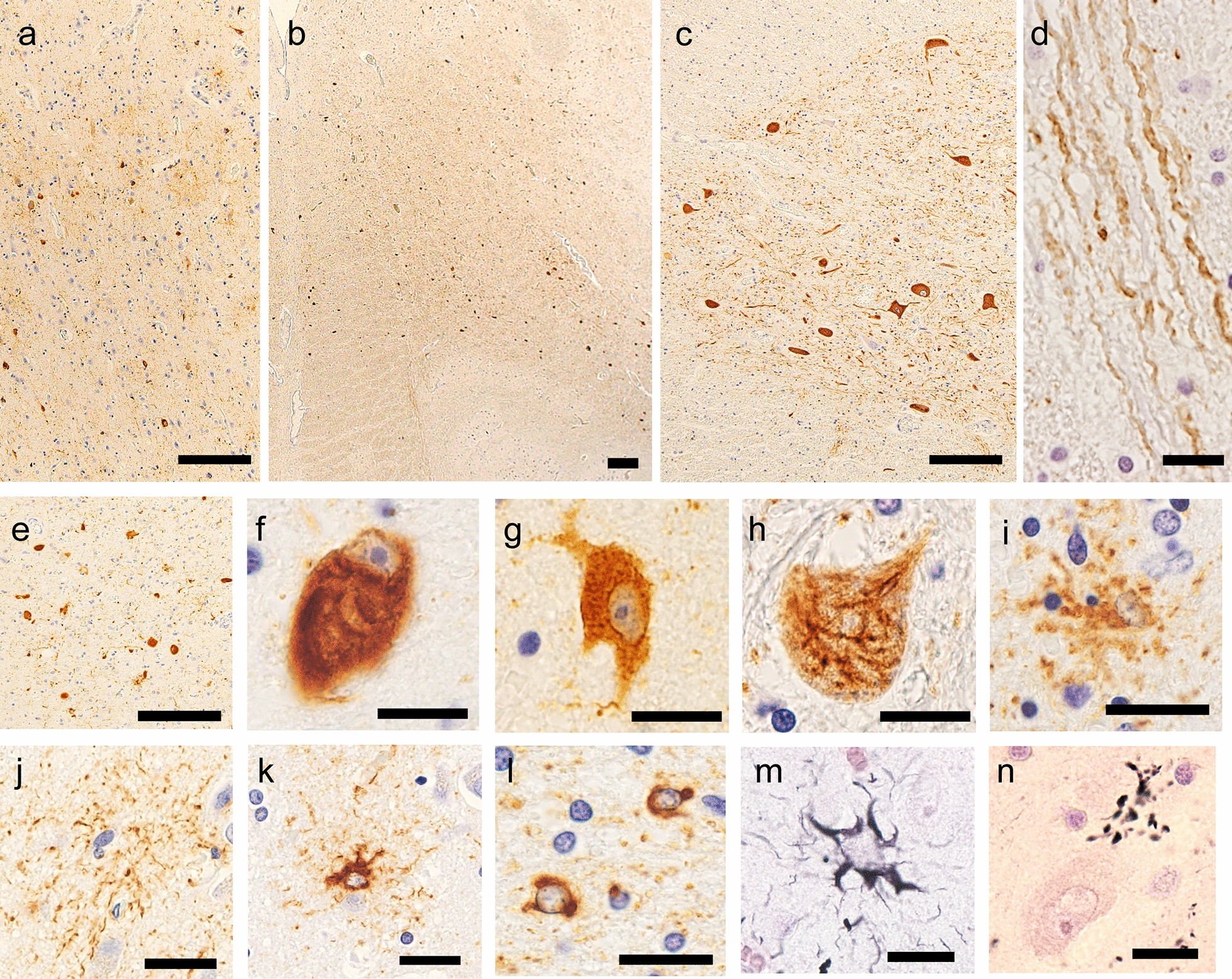 Fig. 3