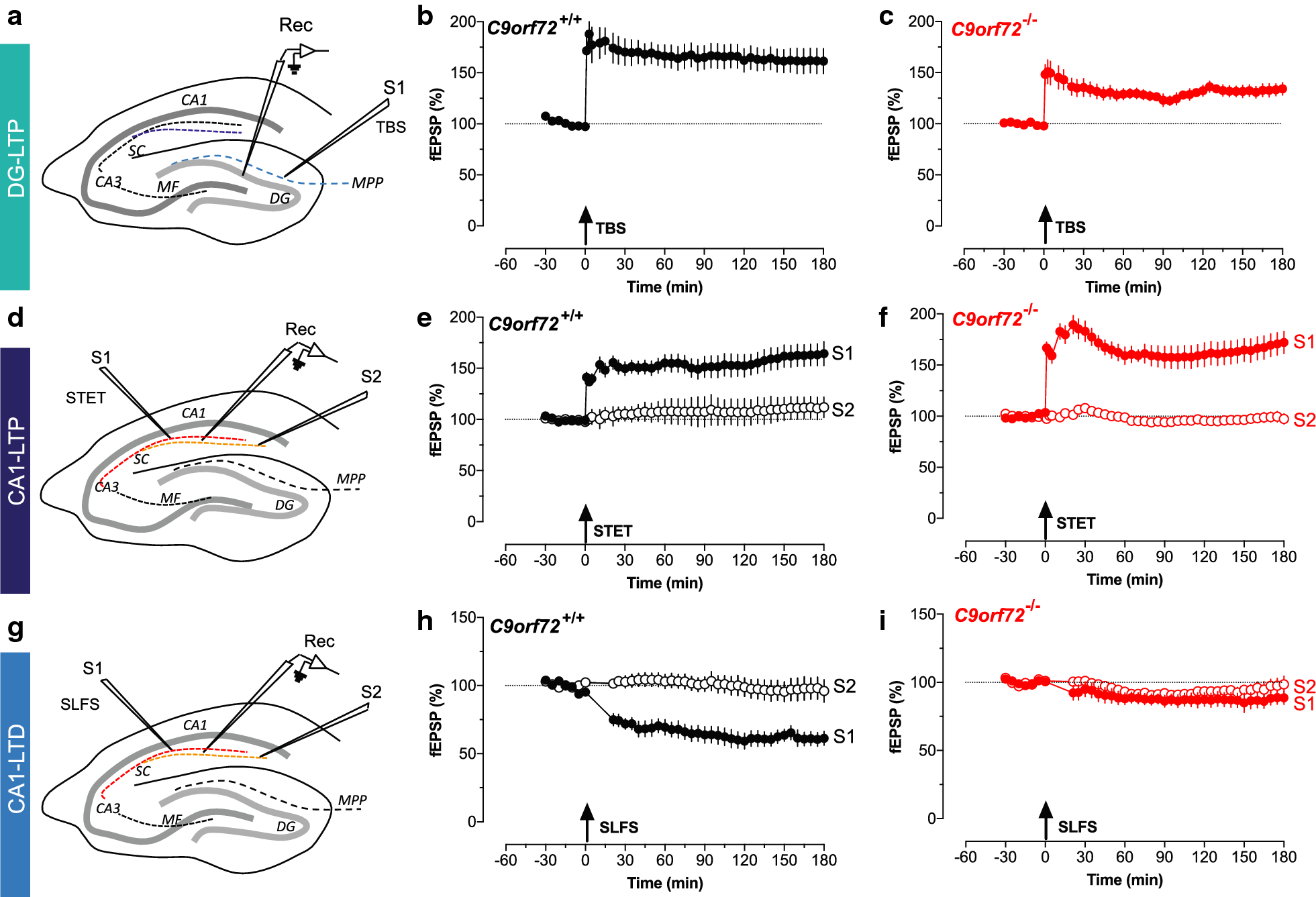 Fig. 1