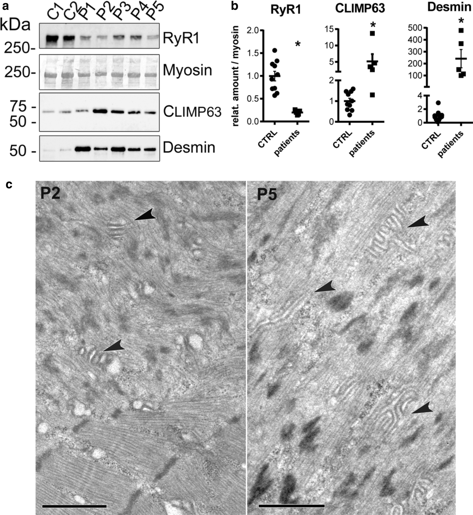 Fig. 8