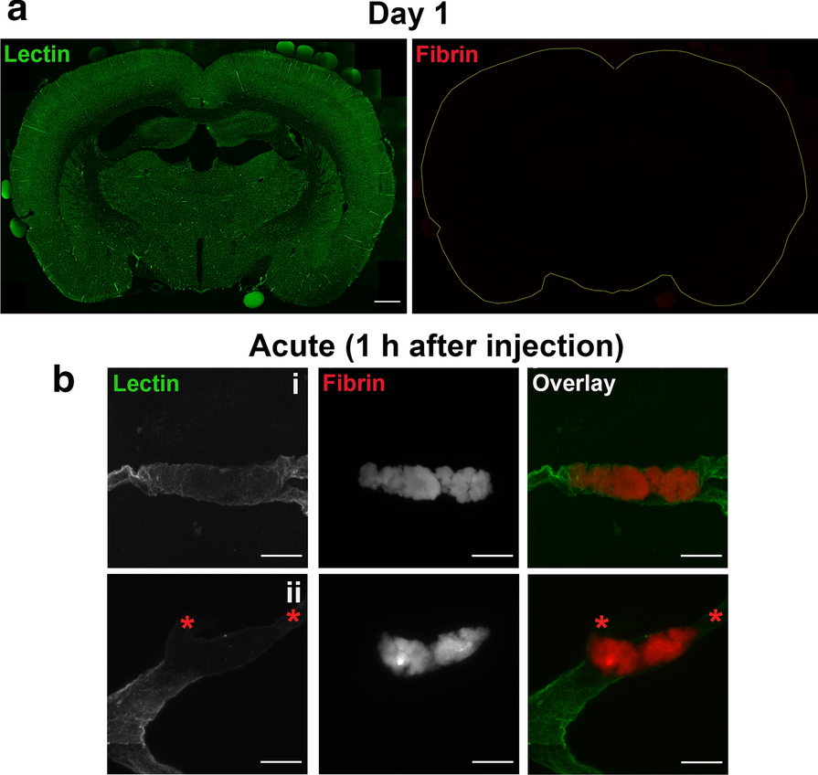 Fig. 4