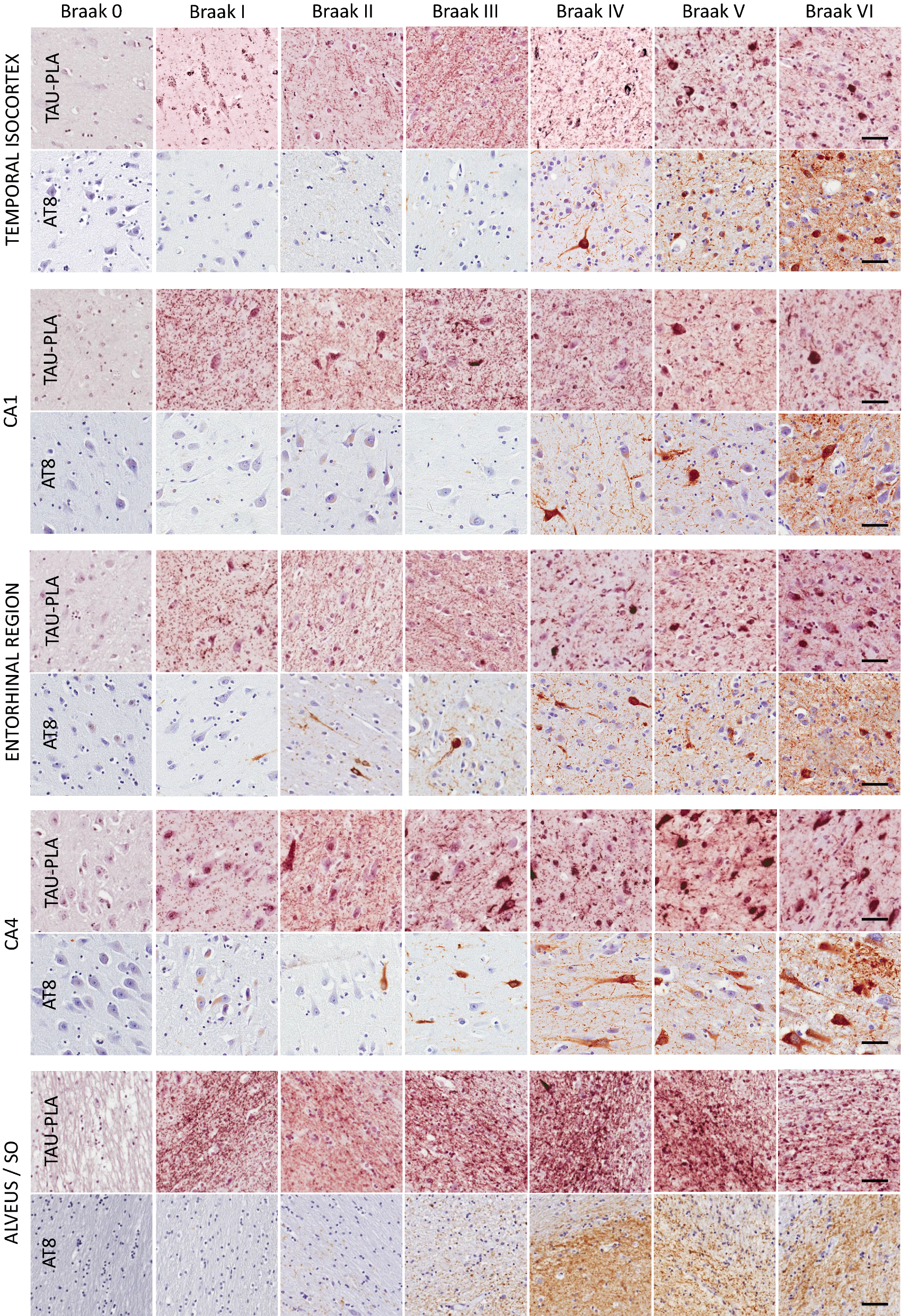 Fig. 4