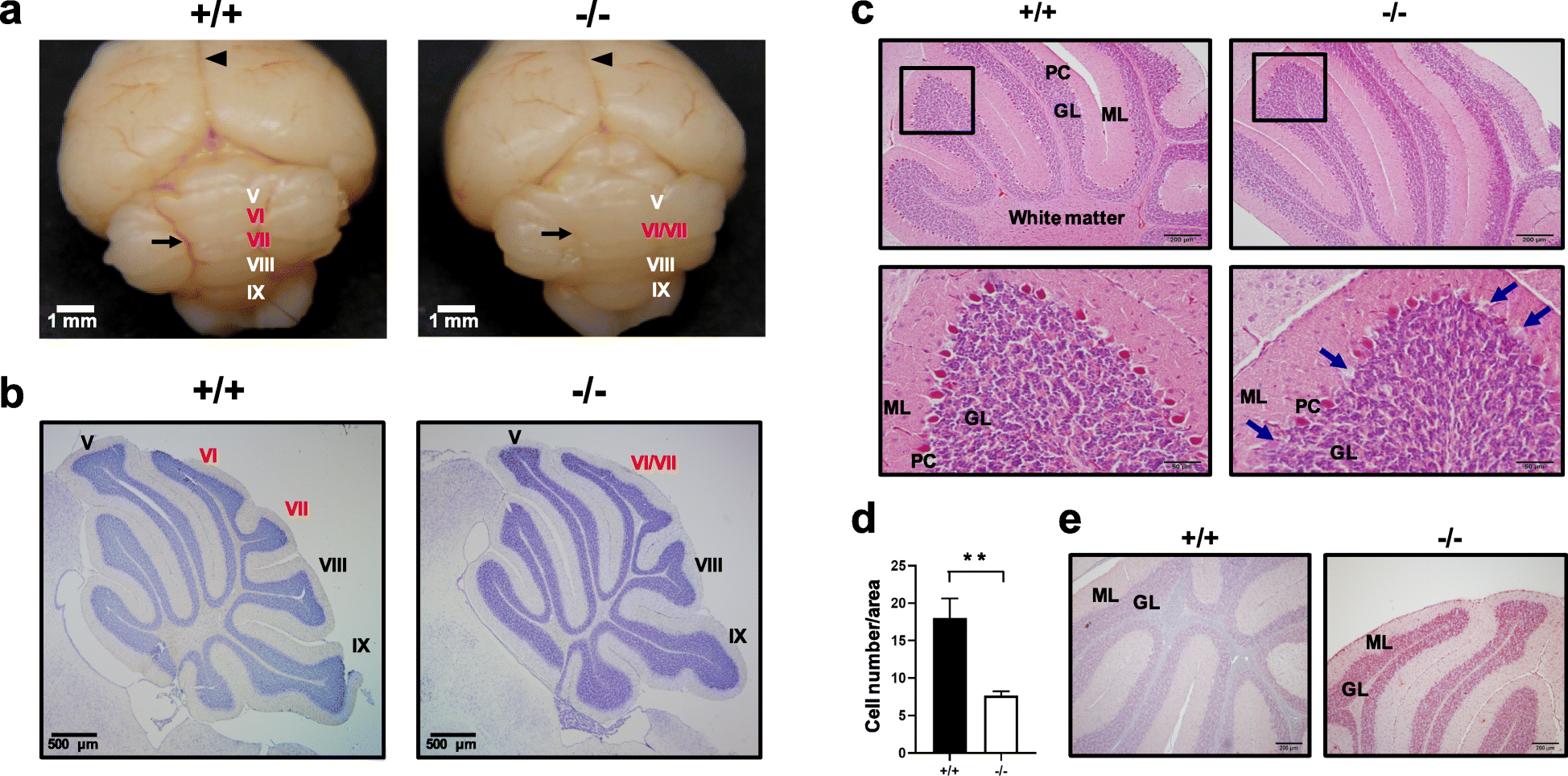 Fig. 5