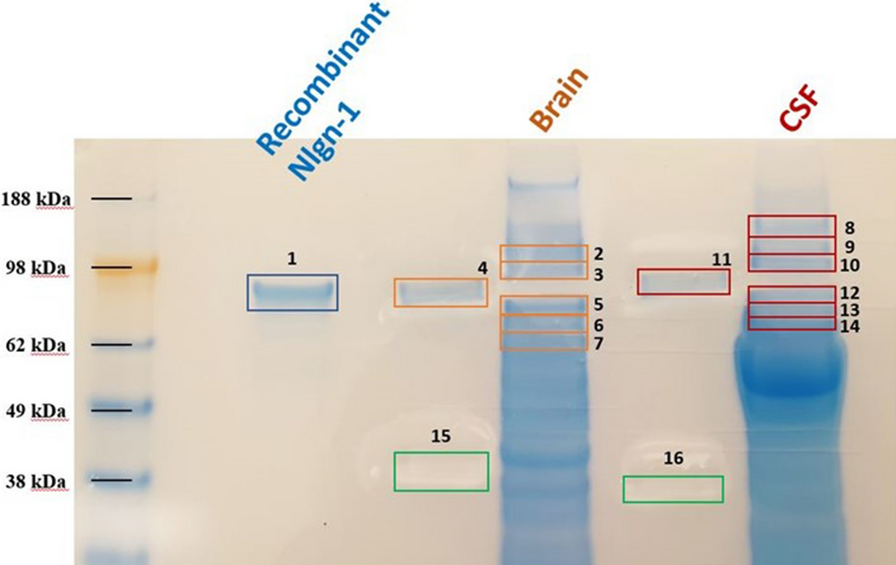 Fig. 6